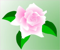 clip art of pink rose 