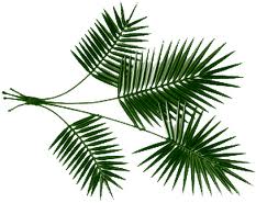 Palms clip art 