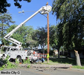 Photo: FLLewis/ Media City G -- Burbank Water and Power crew on the scene of a damaged utility line caused by a falling tree in Burbank April 30, 2014