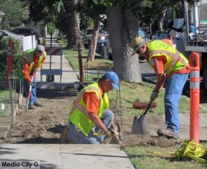 Photo: FLLewis/Media City G -- Burbank Public Works crew involved in sidewalk repair on South Parish Place in Burbank July 24, 2014