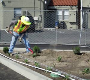 Photo: FLLewis/ Media City G -- A worker used a shovel in the landscape area of a new parking lot in the 3900 block of West Magnolia Boulevard Burbank August 9, 2014