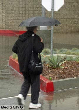 Photo: FLLewis / Media City G -- Umbrellas popped up all over Burbank as a storm pounded the area with heavy rain at times December 2, 2014