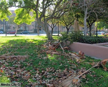 Photo: FLLewis / Media City G -- Downed tree branches, palm fronds, and leaves at George Izay Park in Burbank January 3, 2015