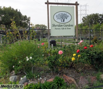 Photo: FLLewis / Media City G -- The lot next to the Sheridan Gardens main building at 817 North Hollywood Way in Burbank February 20, 2015