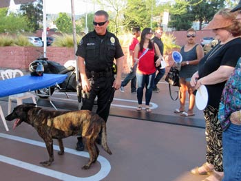 Photo: FLLewis / Media City G -- Officer John Embleton and K-9 partner Steevo at BPD National Night Out event in Downtown Burbank August 4, 2015