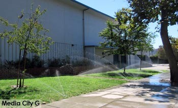 Photo: FLLewis / Media City G -- Sprinklers on during midday David Starr Jordan Middle School in Burbank September 7, 2015
