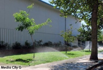 Photo: FLLewis / Media City G -- Sprinklers on during late-morning at David Starr Jordan Middle School in Burbank September 7, 2015
