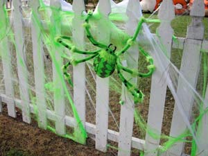 Photo: FLLewis/Media City G --  A large green spider spins a web on a fence in the 700 block of North Niagara Street Burbank October   3, 2013