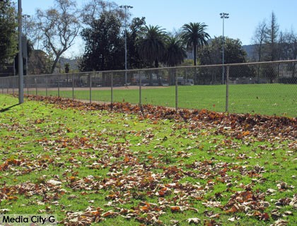 Photo: FLLewis / Media City G -- Strong winds dumped tons of leaves on some of the grounds at George Izay Park on West Olive in Burbank January 24, 2015